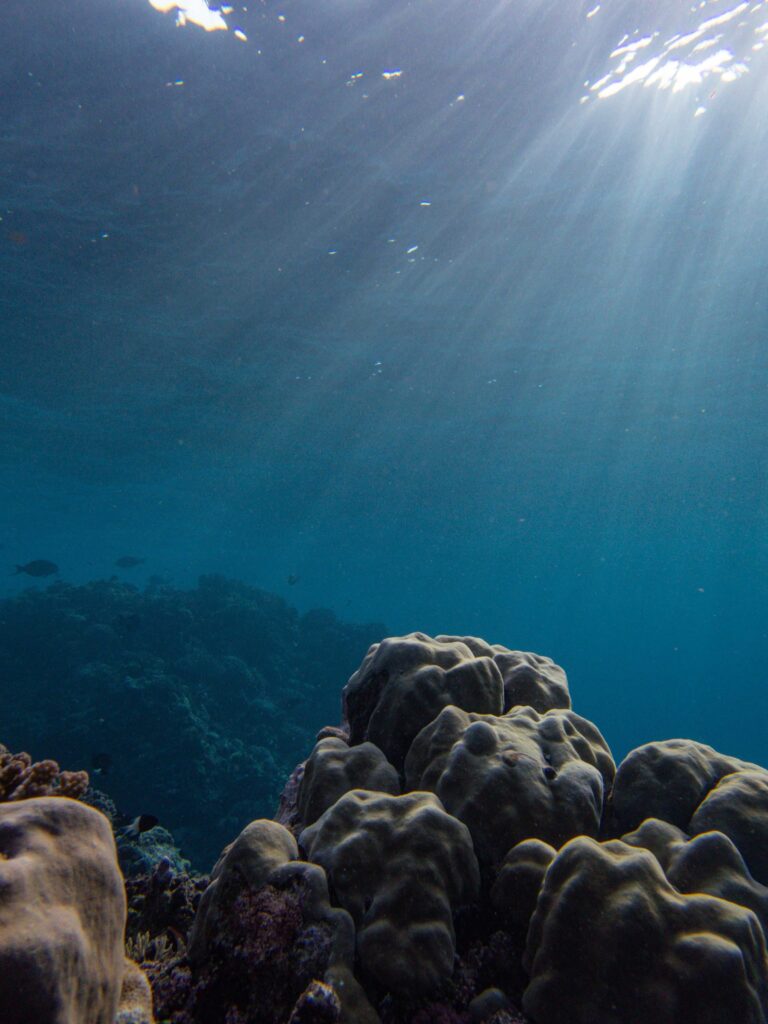 Sunlit underwater scene of a vibrant coral reef with clear blue waters and marine life.